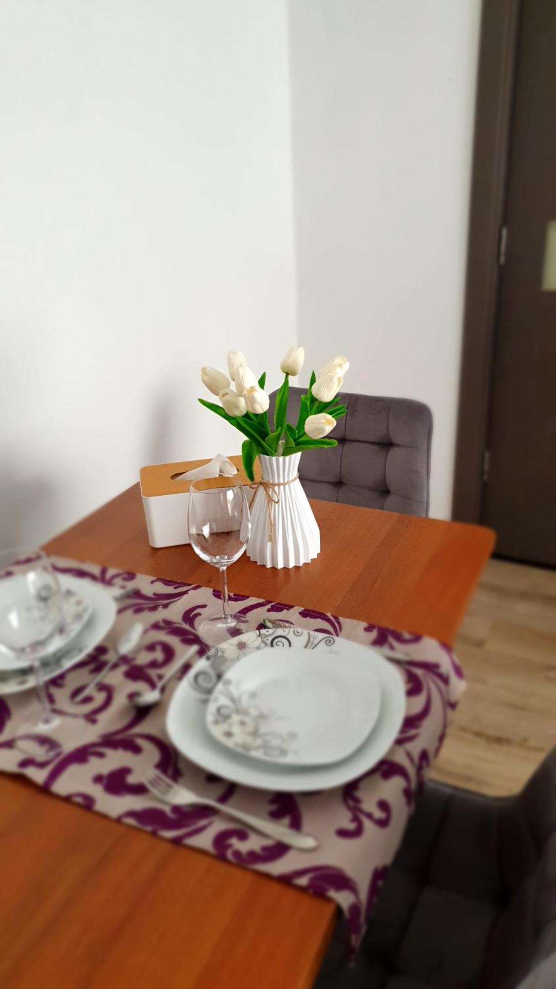 Andrei Apartment Braşov Extérieur photo